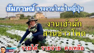 สัมภาษณ์แรงงานไทยในญี่ปุ่นEp.6 งานเฮ้าผัก สวนข้าวโพด รายได้ รายจ่าย คงเหลือ