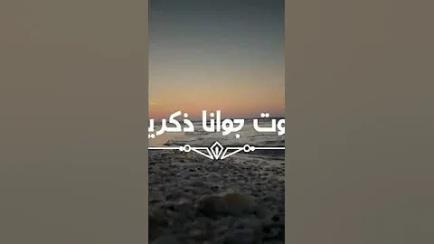 كل اللي معاك في الصورة غاب حمزه نمرة 