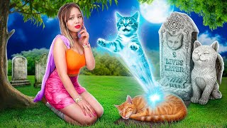 My Cat Became a Ghost! Rich vs Poor Pet Owner