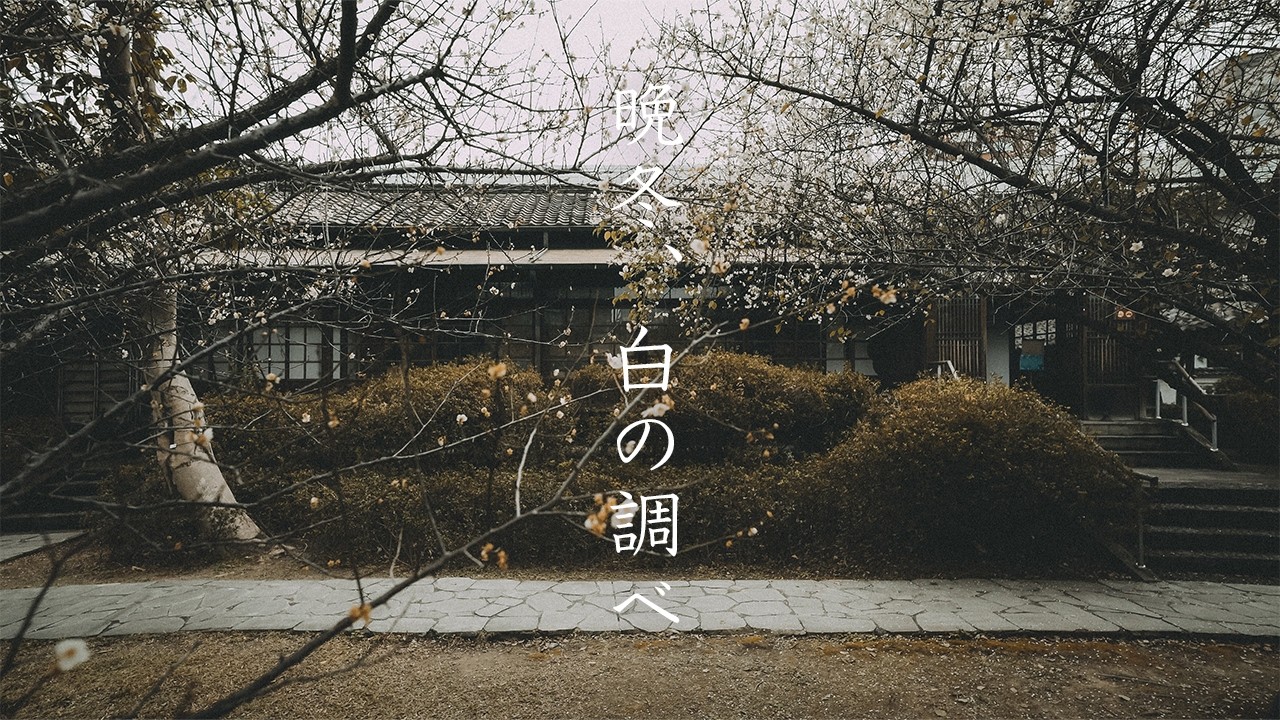 季節更迭中的溫柔瞬間 | 逸仙公園 (國父史蹟館) | 台北市中正區 | 在台日本人