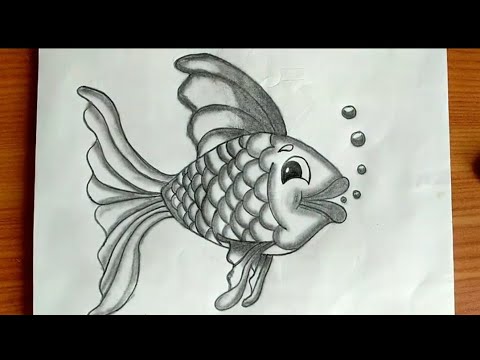 How To Draw Fish For Kids Fish Drawing Fish Pencil Drawing - YouTube