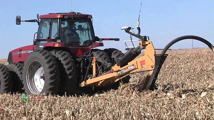 Weed of the Week #776 - Devils Beggarstick (Air Date 2/17/13)