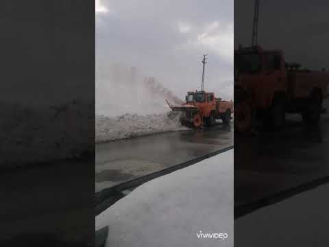 Meşe meşeye benzer (Kara ece kaldır kollarını)