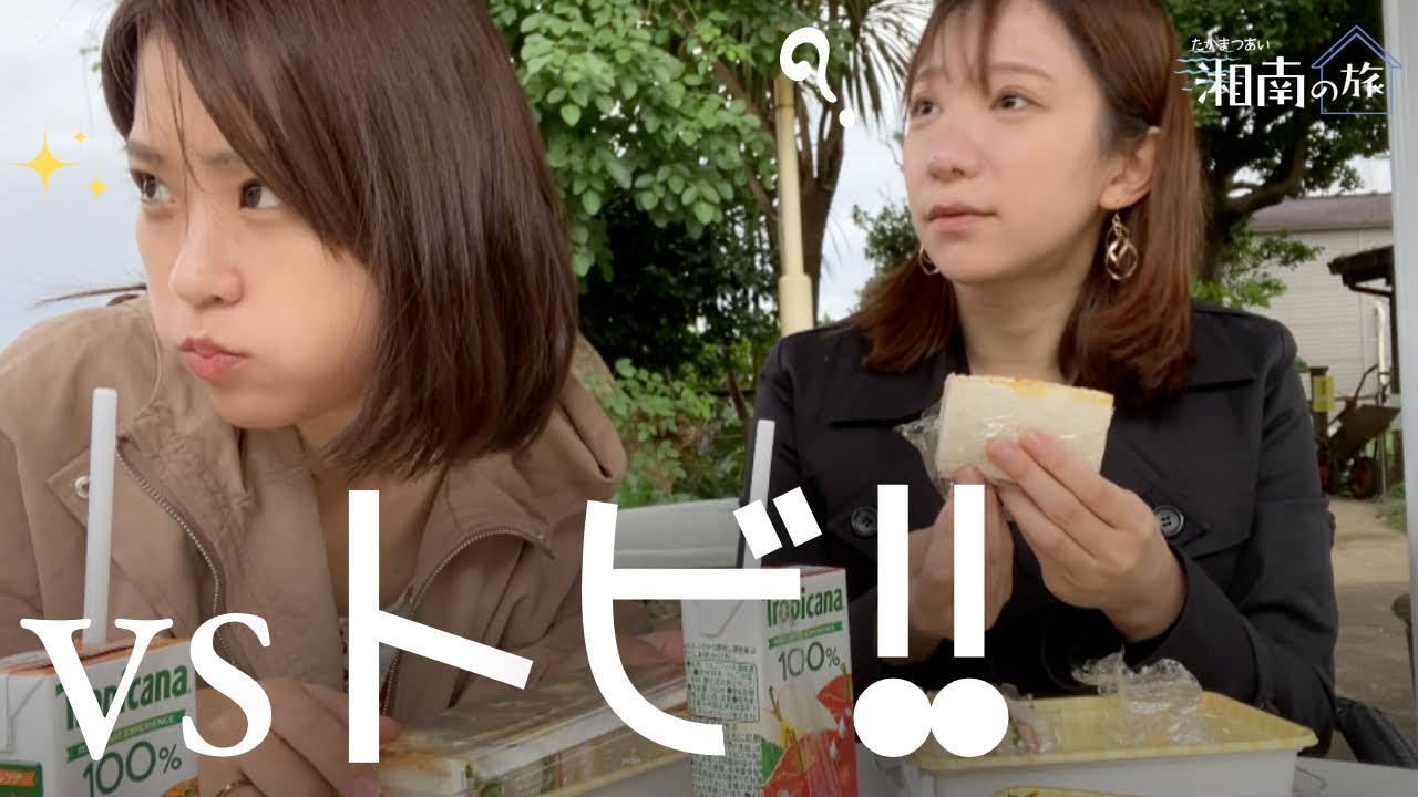 トビに狙われる？いつもの女子トーク！in極寒江ノ島【湘南の旅＃10】