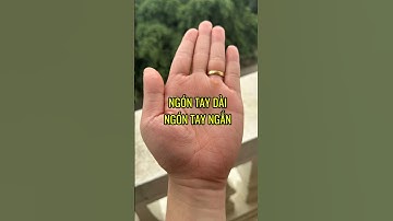 Độ Dài Ngón Tay So Với Bàn Tay – Hé Lộ Tính Cách Và Số Phận #huyenhoc #phongthuy