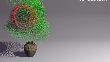 pot  Space Colonization Algorithm - No.019