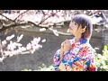 【西脇彩華(ちゃあぽん)】恋花 / 9nine 【ちゃあカフェ】