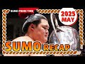 Onosato’s May Sumo Triumph 【The Rise to Yokozuna】