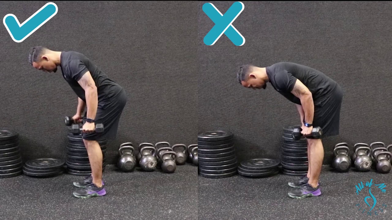 Bent Over Dumbbell Fly - YouTube