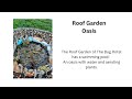 Brockwell Park Bug Hotel Video  Celebration