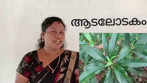 Std 5 Basic Science Unit 1 Class 02 White Board CP