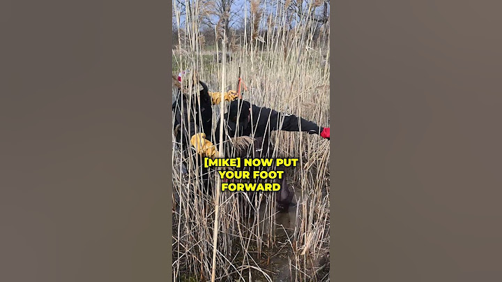 I Got Stuck in a Muskrat Hole and Couldn't Escape!