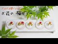 【お花の梅ゼリー】甘じょっぱい冷んやりぷるぷるゼリー