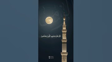 من تلاوات غريد الحرم النبوي | أحمد بن طالب