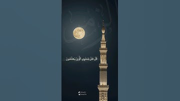 من تلاوات غريد الحرم النبوي | أحمد بن طالب