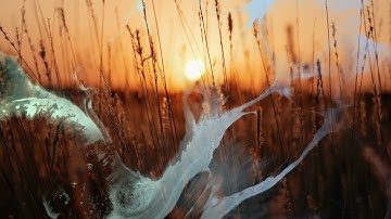 Guided Meditation   Tuning Into Your Purpose #mindfulpresence  #purposefulliving