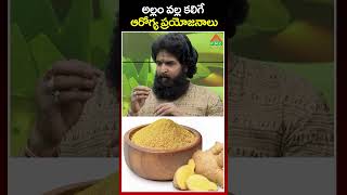 అల్లం వల్ల కలిగే ఆరోగ్య ప్రయోజనాలు | ginger health benefits | PMC Health