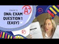 DNA and Protein Synthesis Quiz