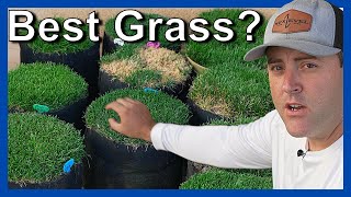 Best grass seed? what are ELITE grass seeds