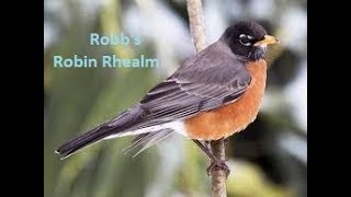 Hello there my Robin's Rhealm faithful! We are three weeks deep and...