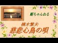 慈悲心鳥
