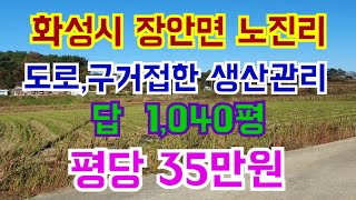 화성시 장안면 노진리 생산관리 답 1,040평