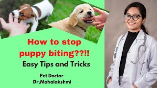 How to stop puppy biting?? | Easy tips and tricks | Pet Doctor Dr.Mahalakshmi