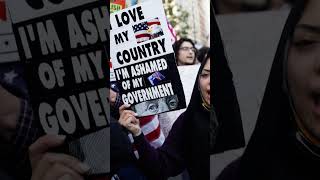 Estos Fueron Algunos De Los Carteles Mas Creativos De Las Protestas No Kings Day En Eeuu