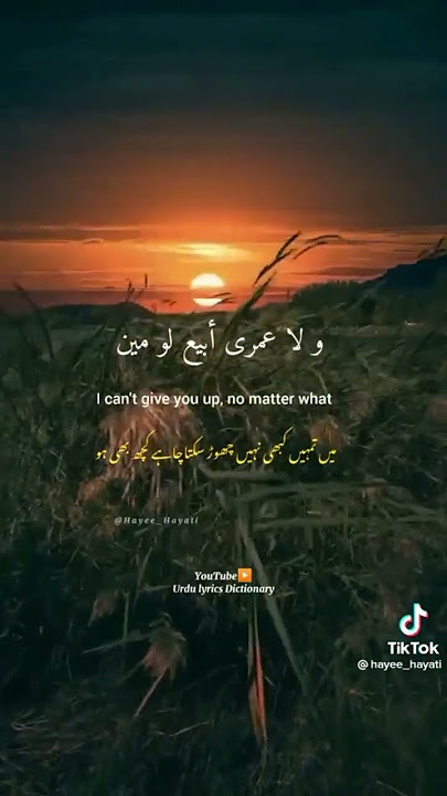 song#arabictranslated#lyrics