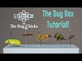 Bug Box Tutorial