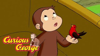 curious george up up and away kids cartoonkids moviesvideos for kids