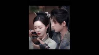 The Most Beautiful Past Turns Into The Deepest Cageshadow Love songyi chenglei   