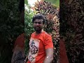 சீத்தாப்பழம் ஃபேஷியல்🤕🤕👺👺#viral #fruit #comedy #shorts #funny #viralvideo #shortvideo #short