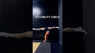 Flexibility Check-In 🔍 Save and Try! #flexibilitytraining  #frontsplit #hipmobility
