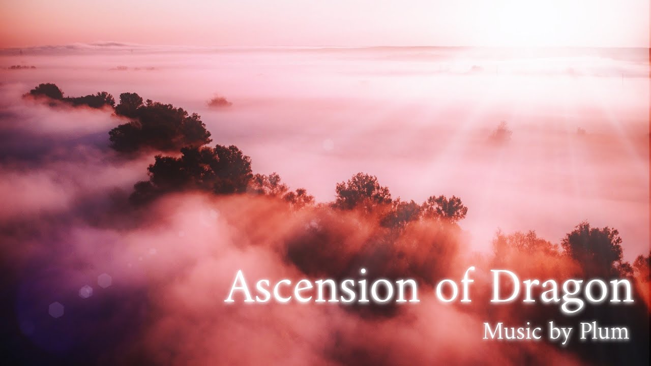在 YouTube 上观看 Ascension of Dragon by Plum / 장엄하고 웅장하게 흐르는 승천의 멜로디