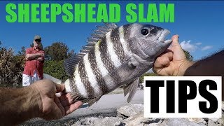 Catching Sheepshead Fishing With Shrimp Rigging Tips