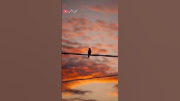 تلاوة خاشعه للشيخ ياسر الدوسري 🎧❤️‍🩹 #اكسبلور #طمئن_قلبك #حالات_واتس #أرح_سمعك_وقلبك #راحة_نفسية