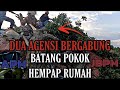 AKSI TERAKHIR LAN DI CELORENG BOMBA | DUA AGENSI APM & JBPM BERSATU BERGABUNG | POKOK TUMBANG |