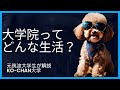 大学院生のリアルな生活｜授業・研究・バイト・就活事情を語る