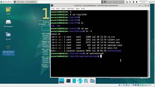 Multiple VPN configurations and a FishMonger system fix