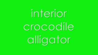 Video thumbnail of "interior crocodile alligator. (FULL SONG)."