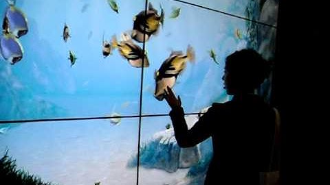 FirePro V9800 driving interactive Aquarium display