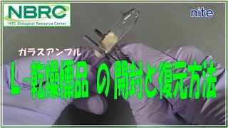 【NBRC】L-乾燥標品（ガラスアンプル）の開封と復元方法