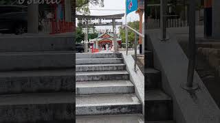 片山神社　素盞嗚尊神社　shorts osaka japan 神社仏閣 神社 神社仏閣巡り temple