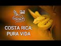 Costa Rica: Pura Vida - wildlife diversity documentary, Living Zoology film studio