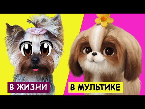 ТАЙНАЯ ЖИЗНЬ ДОМАШНИХ ЖИВОТНЫХ 2 В РЕАЛЬНОЙ ЖИЗНИ! Смешные КОТИКИ ЗАКАЗАЛИ ПИЦЦУ + Лайфхак для кота