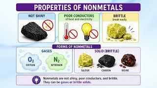 Metals, Nonmetals, and Metalloids