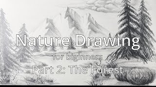 Nature Drawing for Beginners Part 2: The Forest