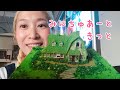 みにちゅあーときっとキキの家作ってみた