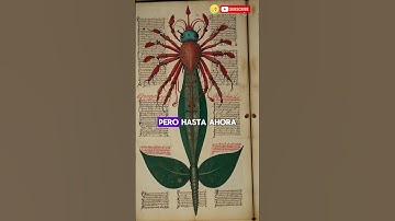 Thumbnail of El Libro Más Misterioso del Mundo: El Manuscrito Voynich #voynich